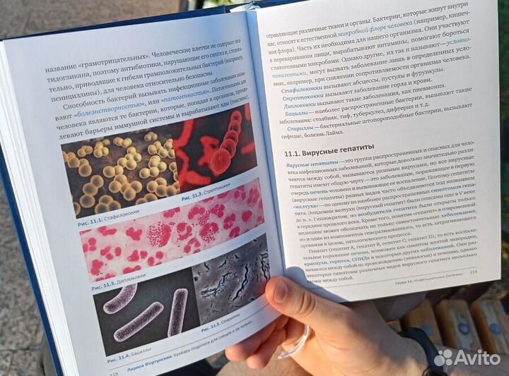 Букварь подолога для спецов и не только + словарь