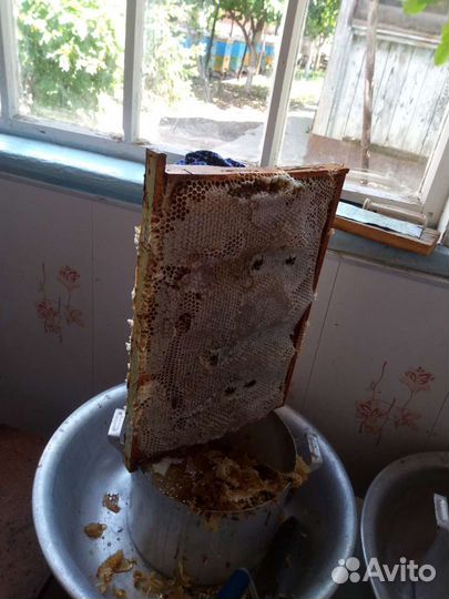 Мед цветочный