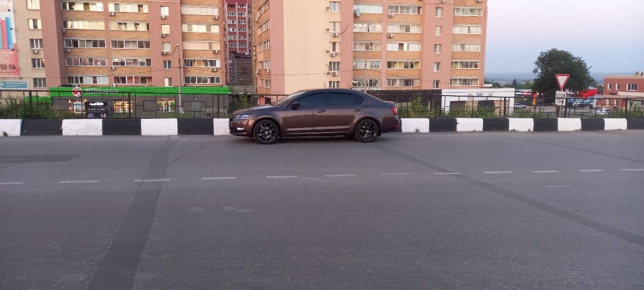Skoda Octavia: фото владельца