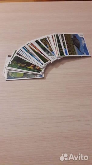 Наклейки Дикси