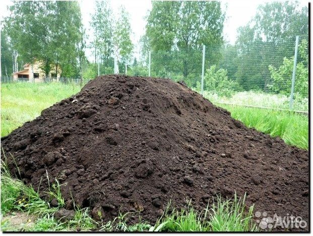 Навоз коровий