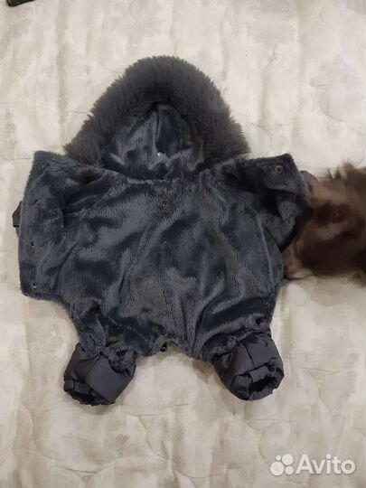 Комбинезон для маленькой собаки