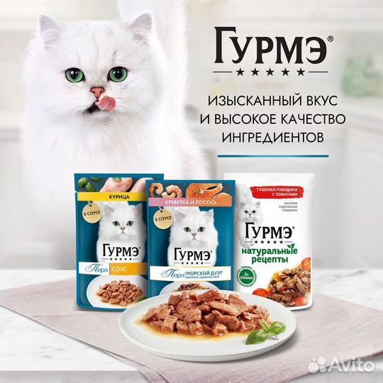 Гурмэ паучи для кошек Нежное филе с курицей