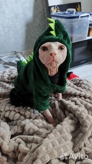 Одежда для собак и кошек