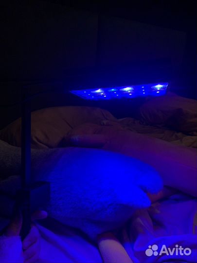 Моской светильник popbloom