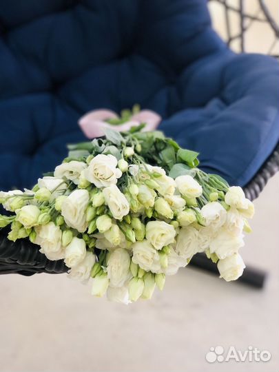 Альстромерия оптом