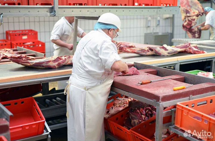 Нужен инвестор в бизнес, доход 19944