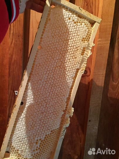 Мёд пчелиный