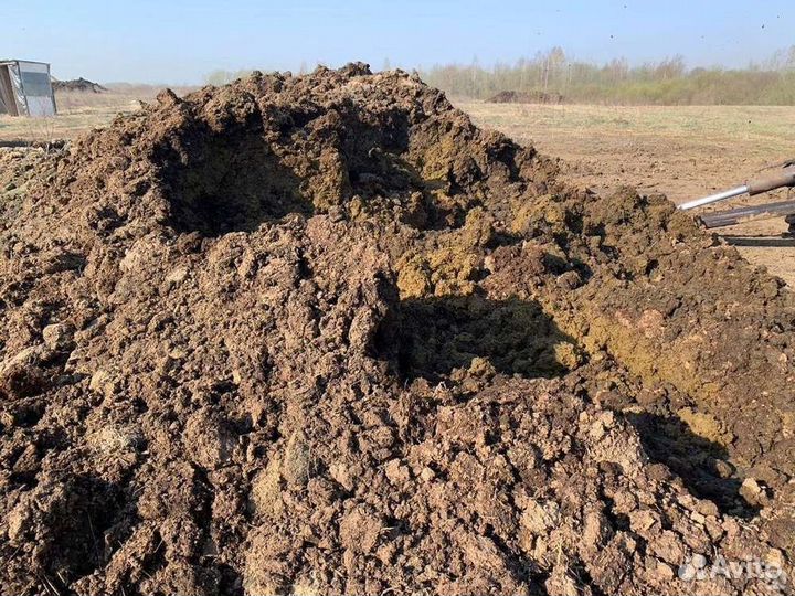 Навоз, куриный помёт