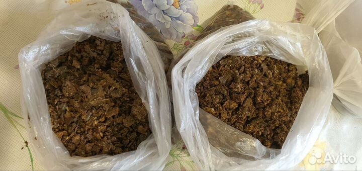 Прополис пчелиный