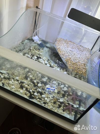 Аквариум для черепах