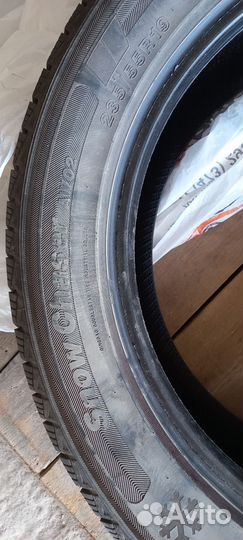 Autogreen Snow Chaser AW02 235/55 R19 101S
