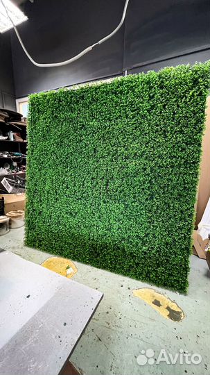 Искусственное озеленение. Искусственный самшит