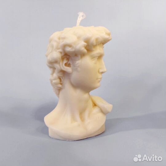 Молд силиконовый Голова Давида