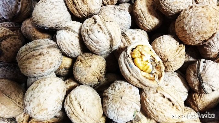 Продам грецкий орех в скорлупе
