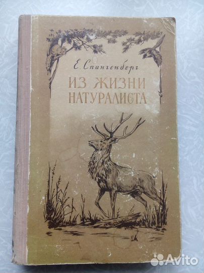 Спангенберг. Из жизни натуралиста. 1955 год