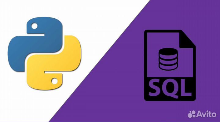 Программист Python, SQL