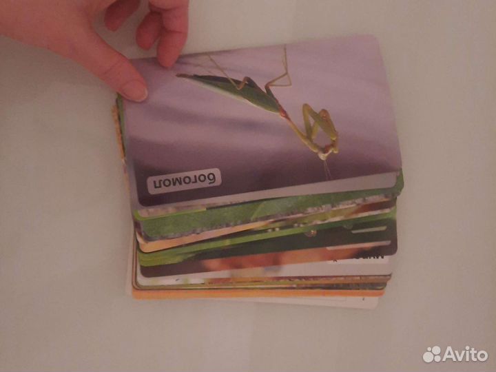 Набор карточек Умница Мир на ладошке. Насекомые 18