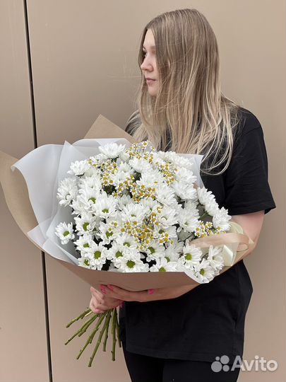 Хризантема кустовая