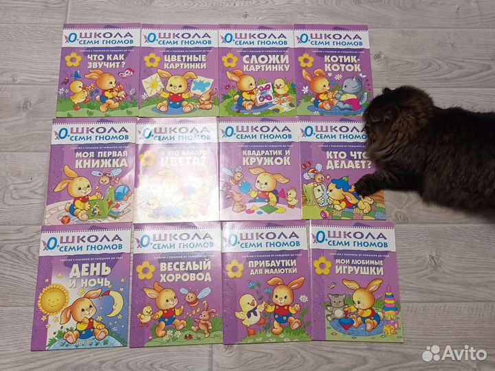 Книги школа семи гномов 0+