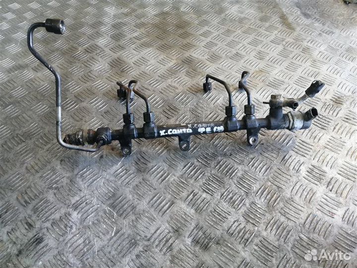 Топливная рампа Hyundai Santa Fe CM D4HB 2011