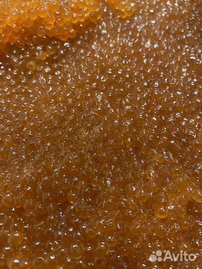 Икра горбуши 2023