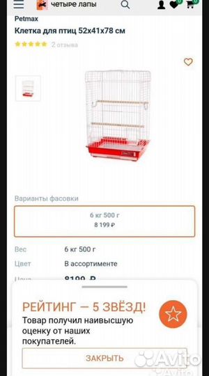 Попугай корелла ручной