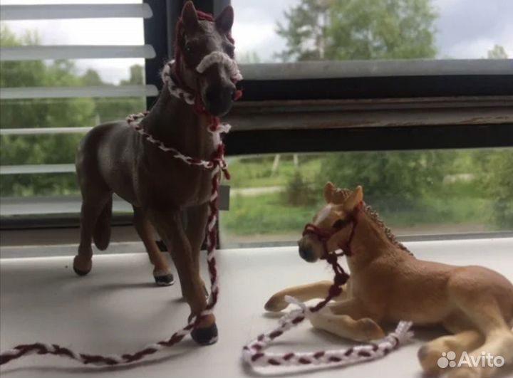 Все для шляйх