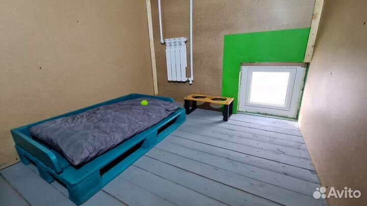 Зоогостиница/Передержка собак и кошек