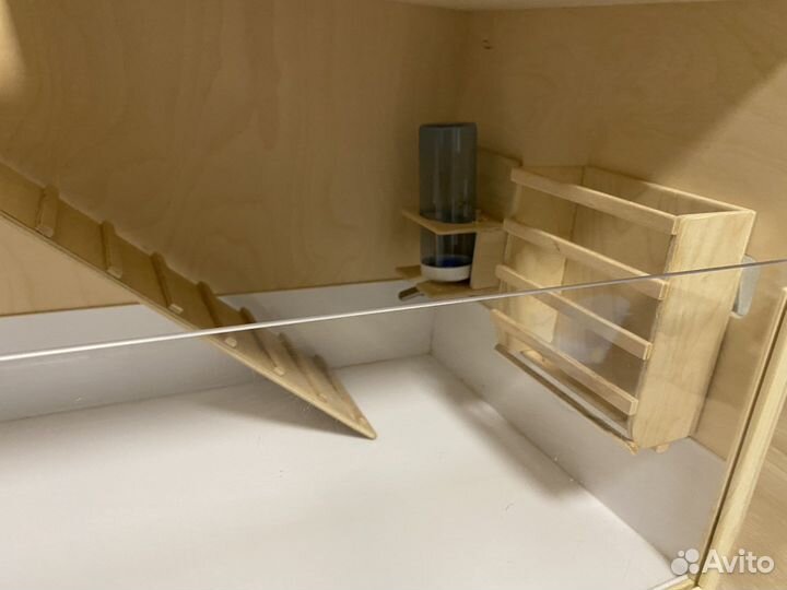 Домик для морской свинки