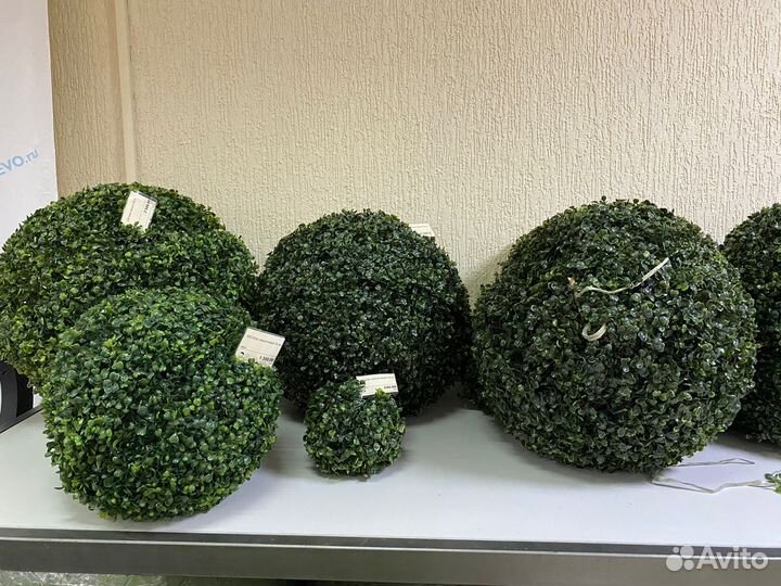 Искусственные растения, коврики, пальмы, деревья