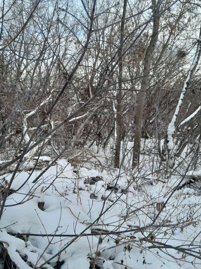 Участок 4 сот. (ИЖС)