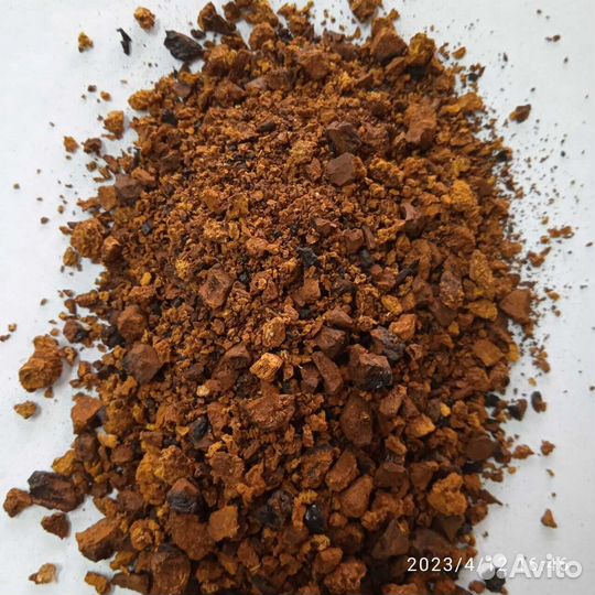 Чага березовый гриб дробленая 10-12 мм Алтай 2023