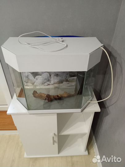 Аквариум с тумбой и фильтром