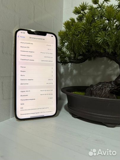 iPhone 12 Pro Max, 256 ГБ