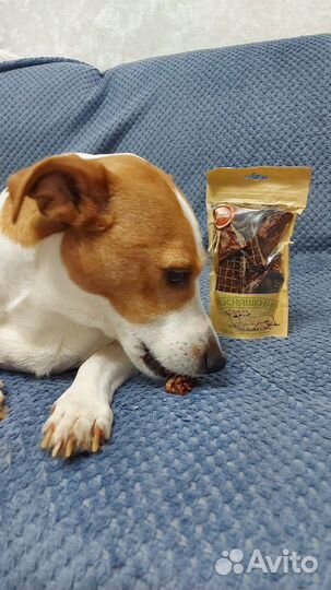 Натуральные лакомства для собак