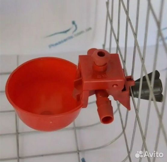 Авто поилки для птиц