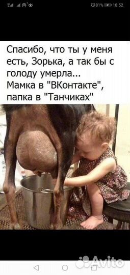 Козы