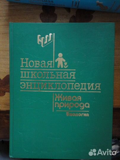 Новая Школьная Э-ия. 10 т. Подарочное,элитное изд