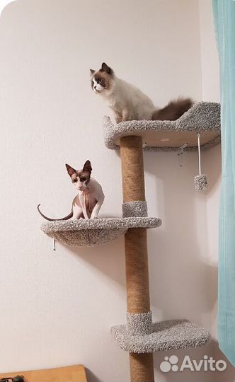 Когтеточки с лежанкой для кошки