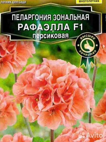 Герань пеларгония зональная 