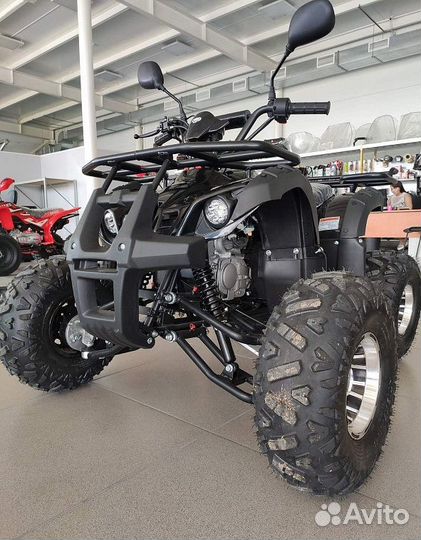 Квадроцикл promax kids 150 LUX