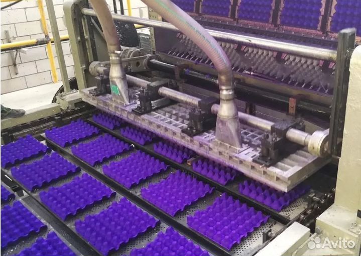 Оборудование для производства упаковки для яиц