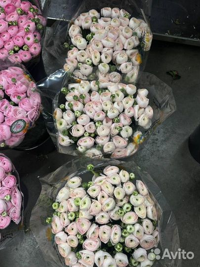 Букет с ранункулюсами