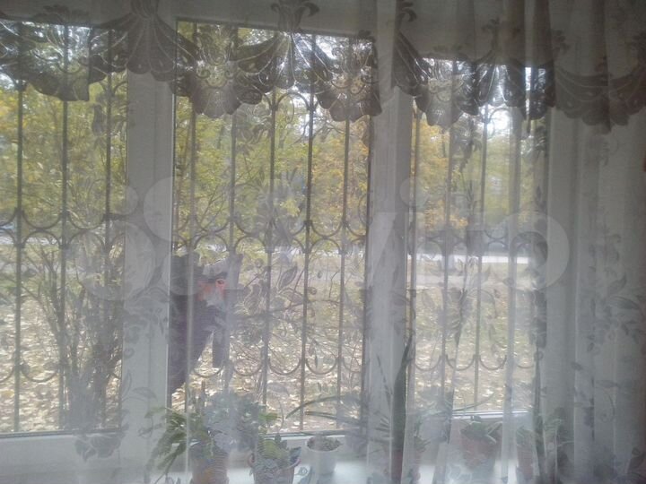 1-к. квартира, 26 м², 1/5 эт.