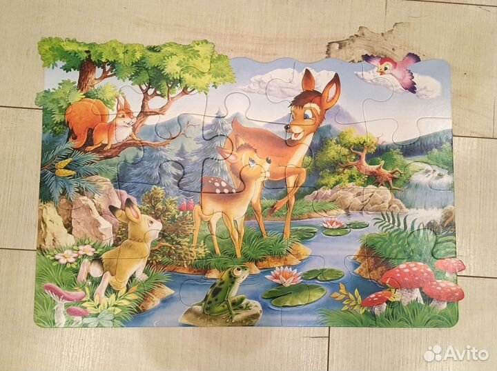 Пазлы Castorland puzzle