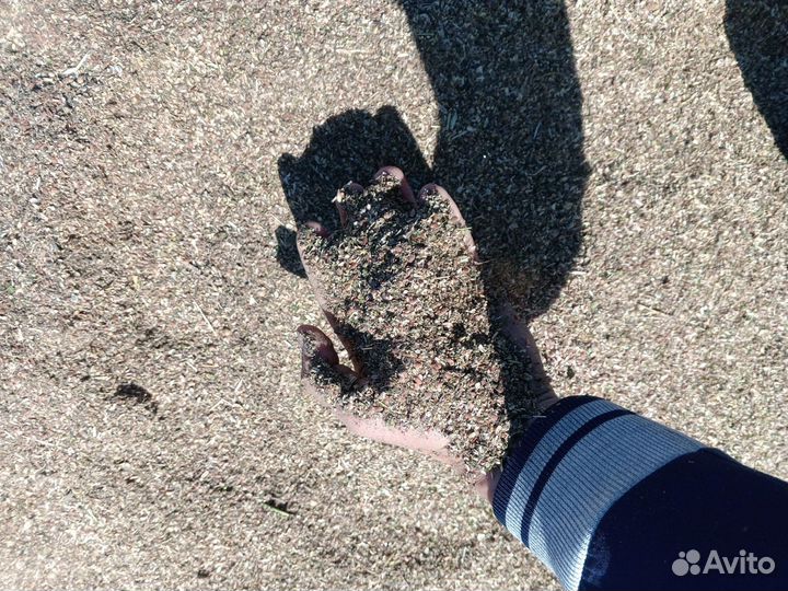 Зерно отходы