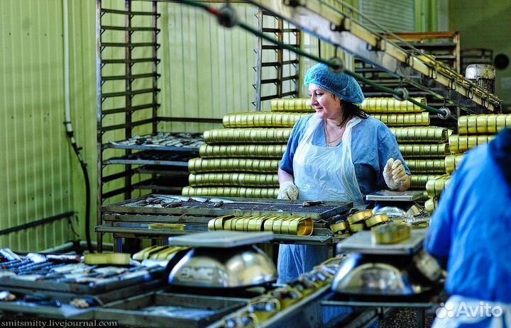 Вахта с проживанием и питанием Упаковщик консервов