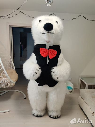 Белый мишка на поздравление