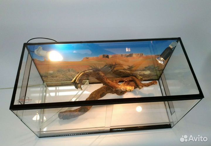 Террариум для змей